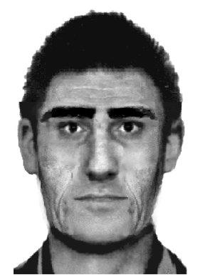 identikit 1