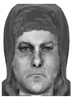 identikit pachatele