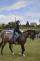 jízda jednoruč 2