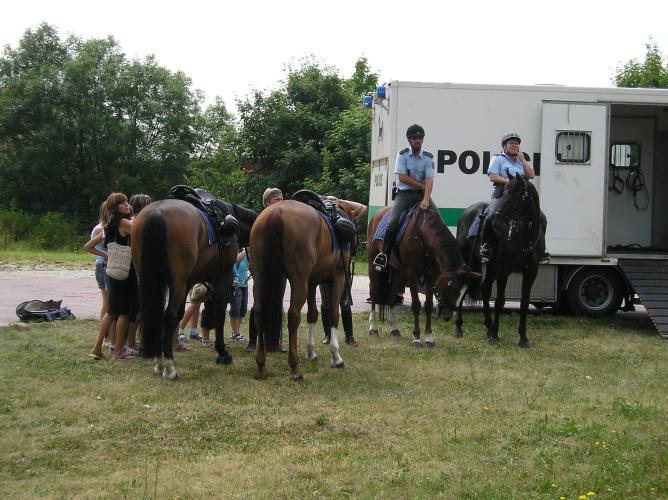 jízdní policie