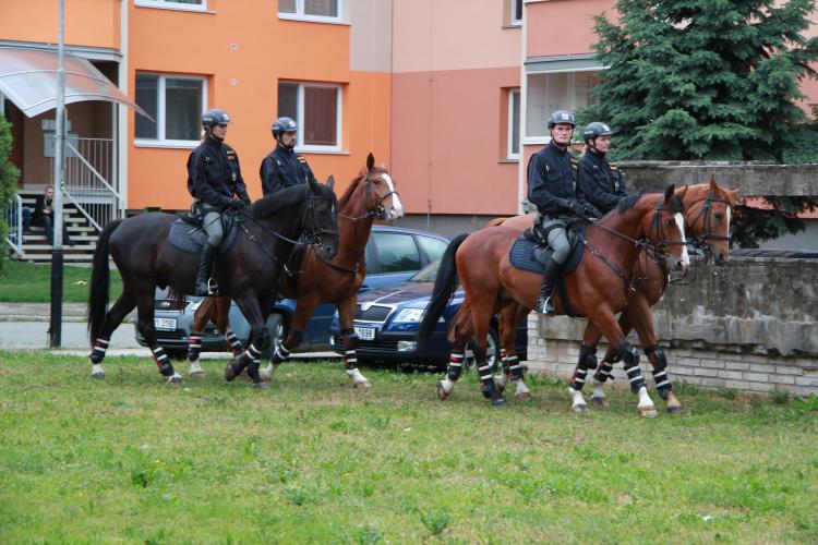 jízdní policie