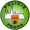 jízdní policie 