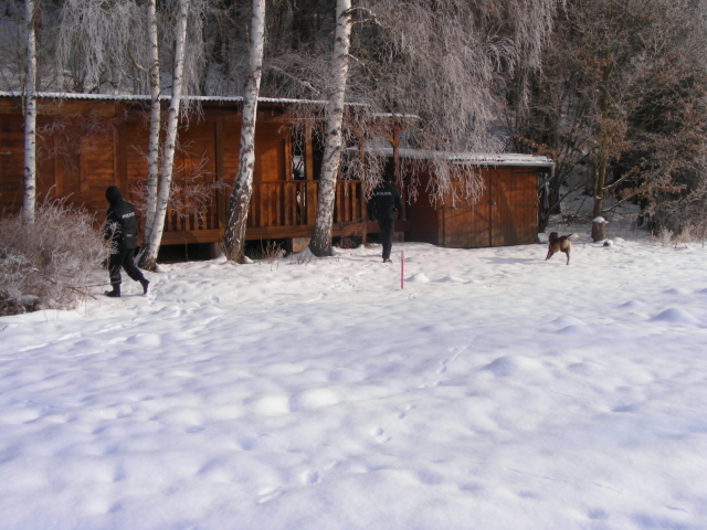 kontrola 5