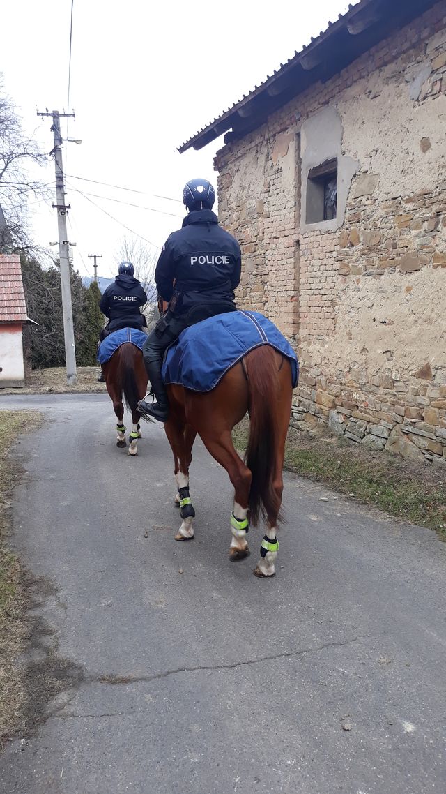 kontrola chat 12.jpg