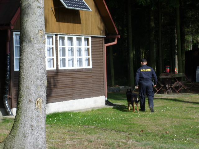 kontrola chat 2010
