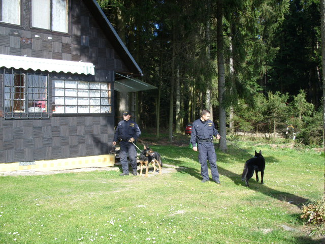 kontrola chat 2010