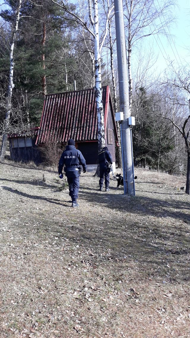 kontrola chat 5.jpg