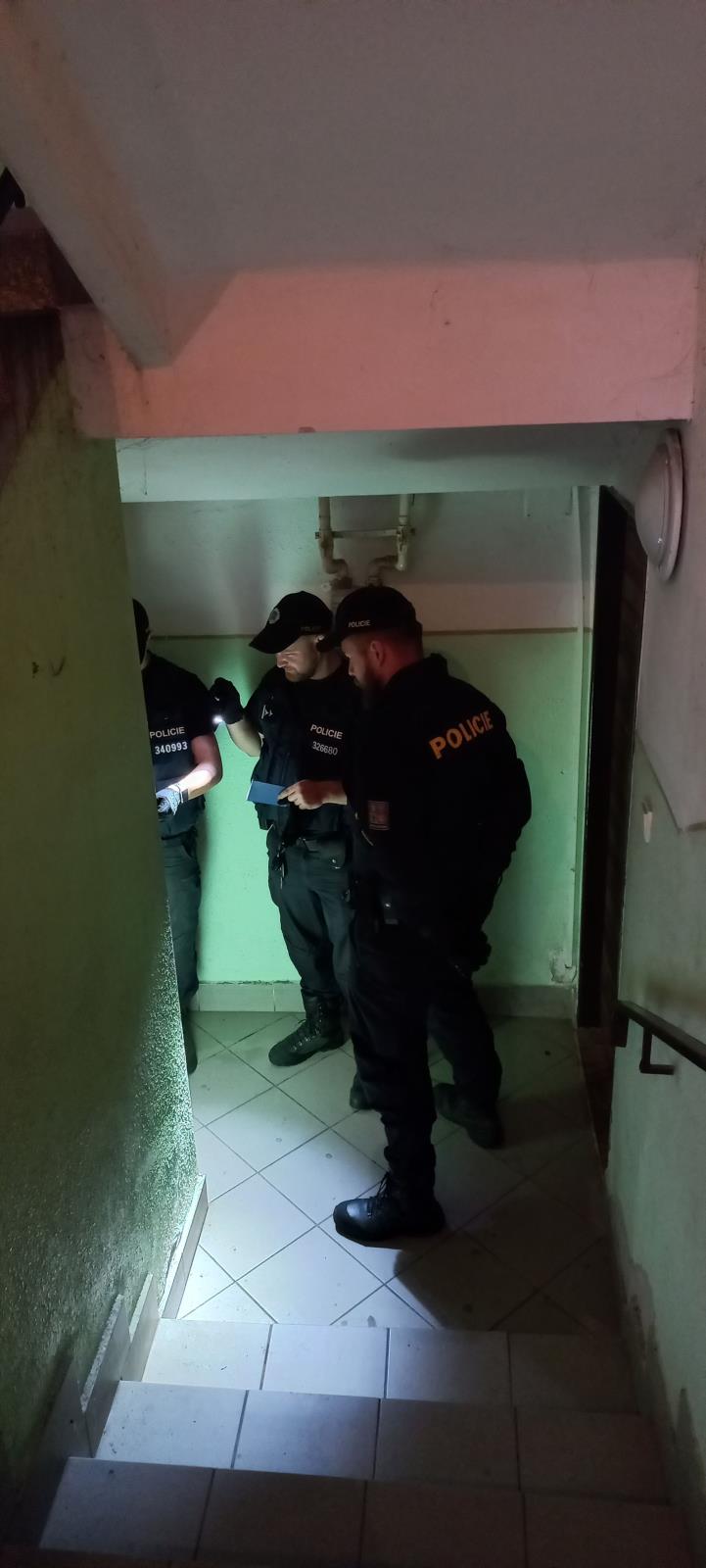 kontrola_cizina7.jpg