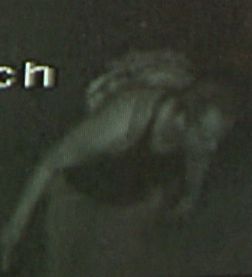 kovo2.jpg