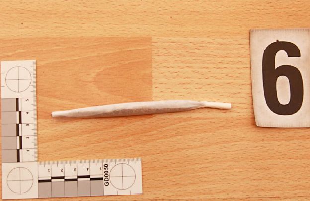 marihuana zajištěná při domovní prohlídce