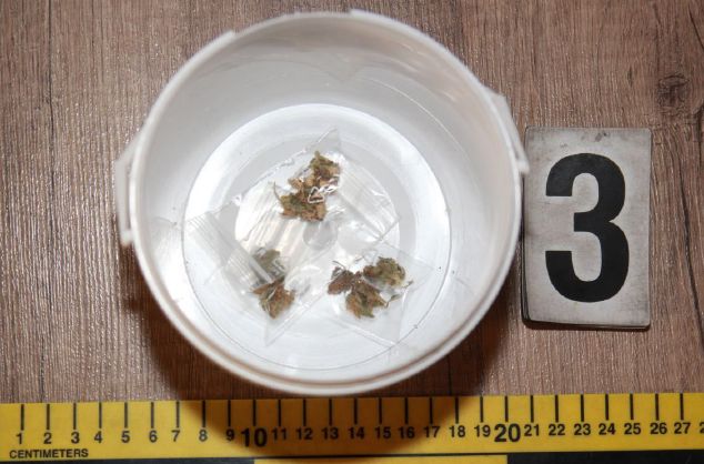 marihuana zajištěná při domovní prohlídce