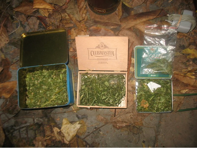 marihuana.jpg