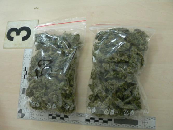 marihuana3.jpg