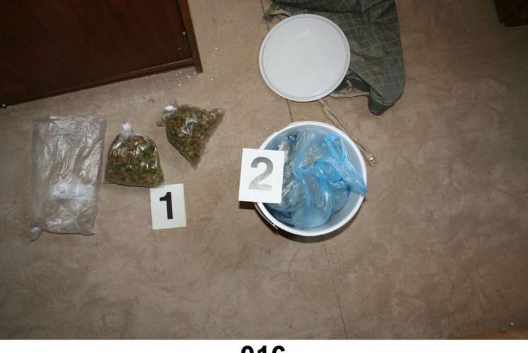 marihuana5.jpg