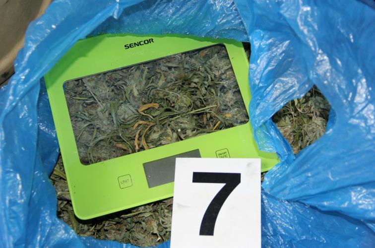 marihuana_1.jpg