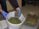 marihuana_4