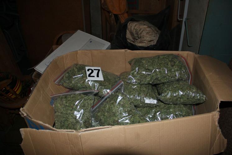 marihuana_4.jpg