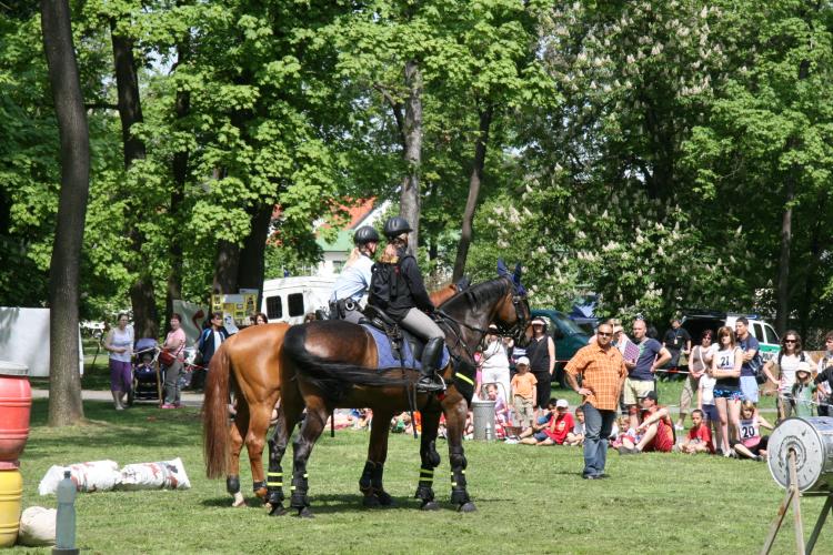 memorial 5-5-2012