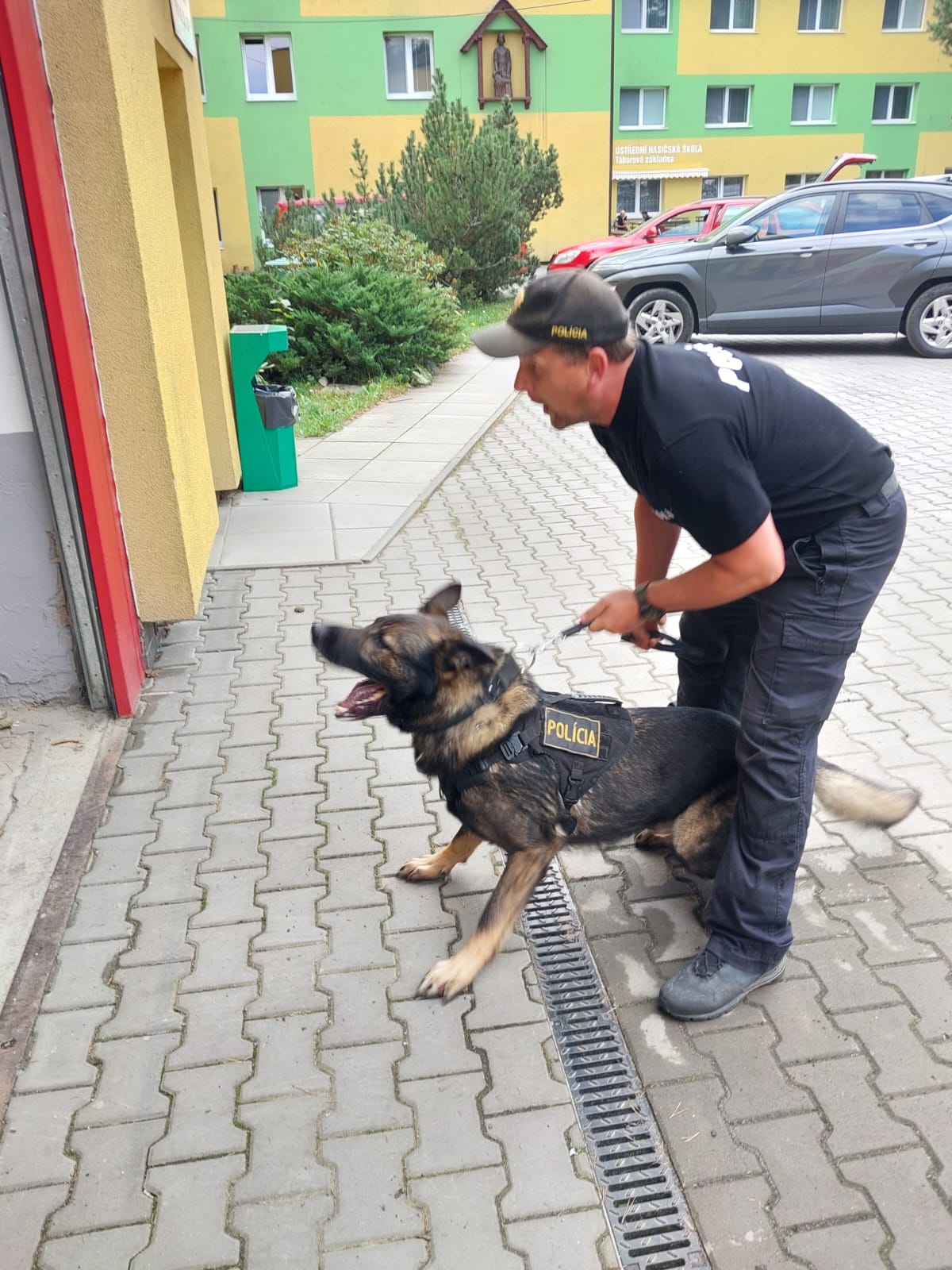 mezinár výcvik kynologové4.jpg