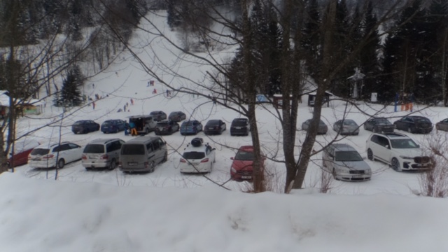 monitorování situace - Šumava