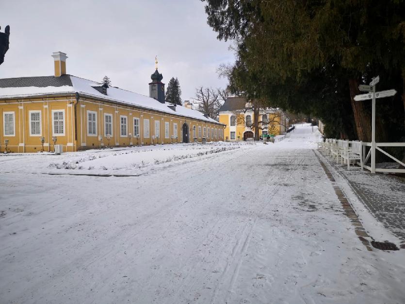 monitorování situace - zámek Kozel