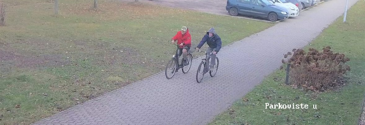 možní svědci krádeže