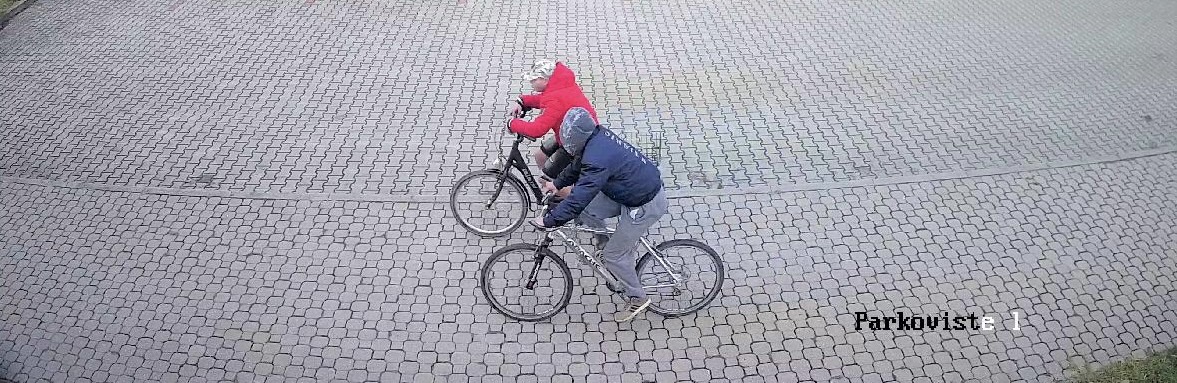 možní svědci krádeže