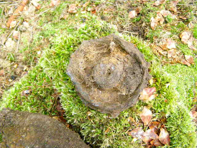 nábojnice