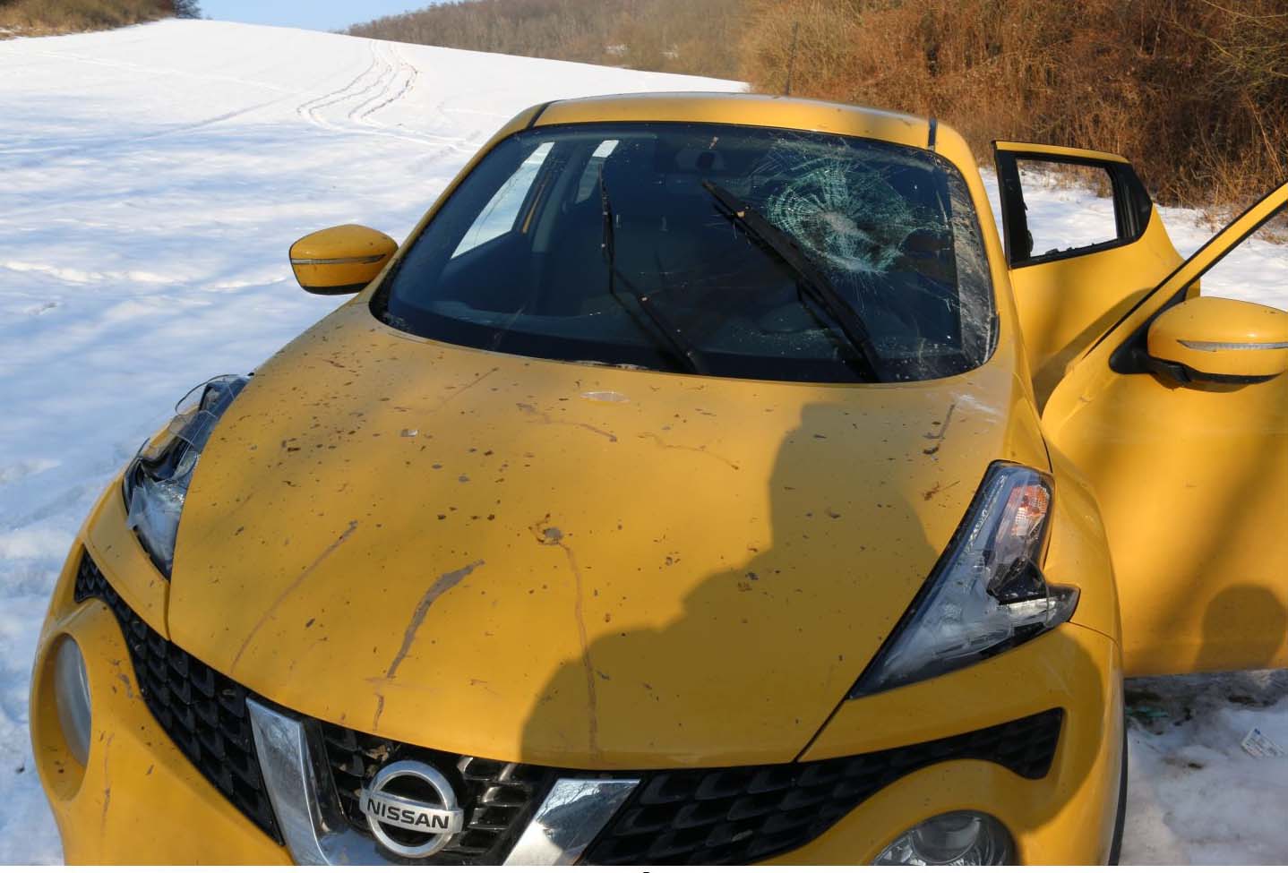 nissan_6.jpg