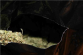 obr.1
