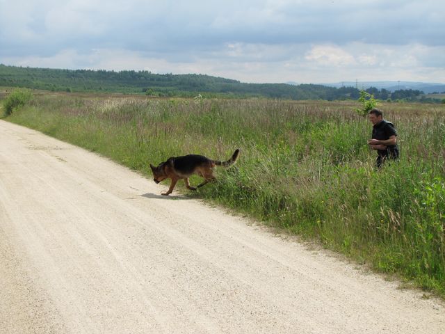 pachové stopy