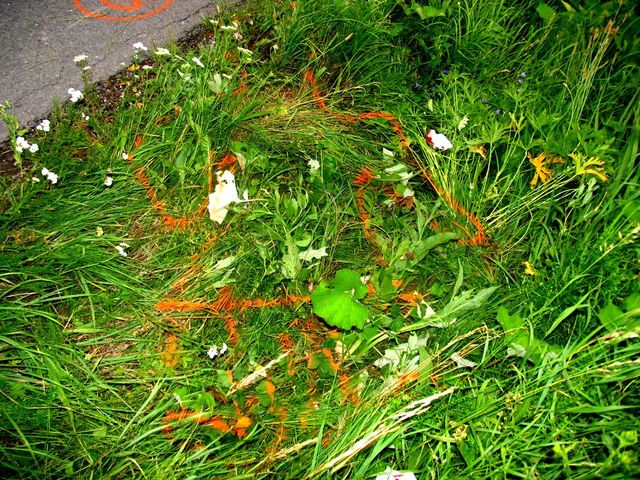 pad opileho cyklisty_02.JPG