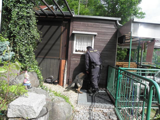 pátrání po hledaných osobách  12