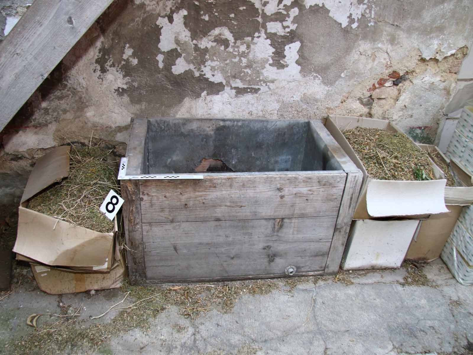 pěstírna_7.jpg