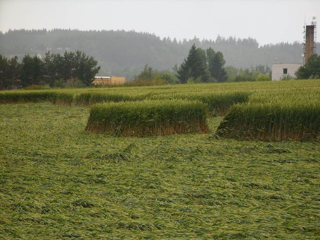 piktogram1.JPG