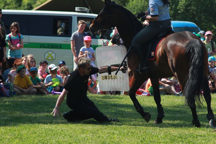 policejní koně.JPG