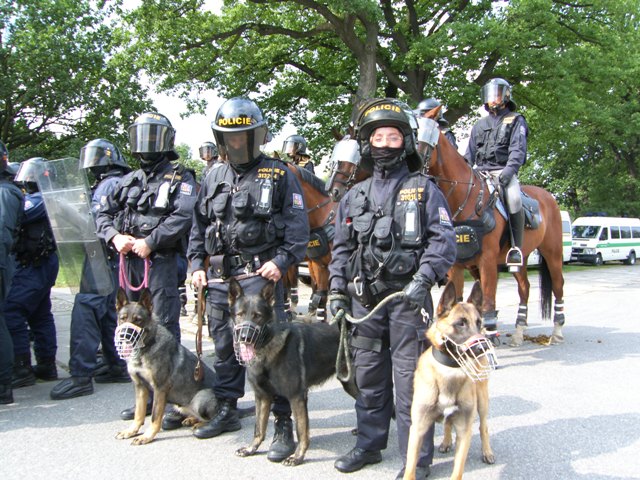 policejní psi a koně