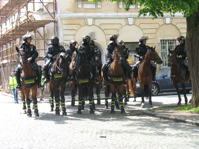 policisté na koních