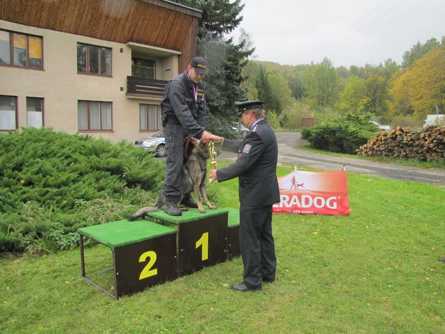 předání ceny za nejlepší výkon
