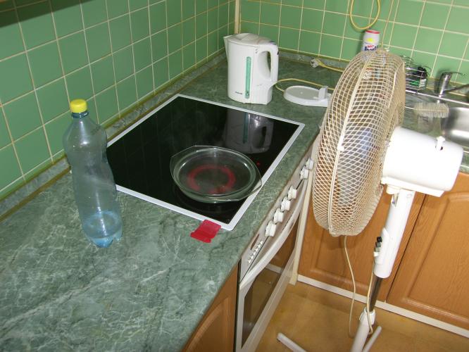 rfoto1.JPG