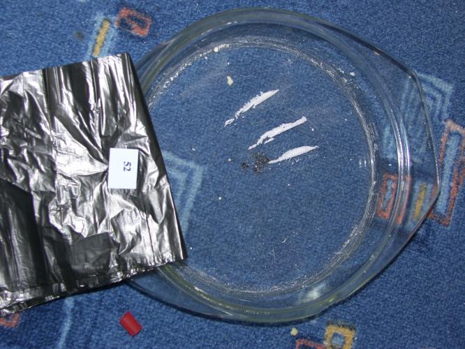rfoto3.JPG