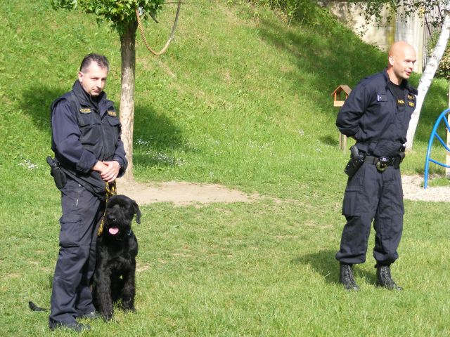 služební psovodi