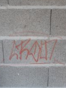 sprejerství