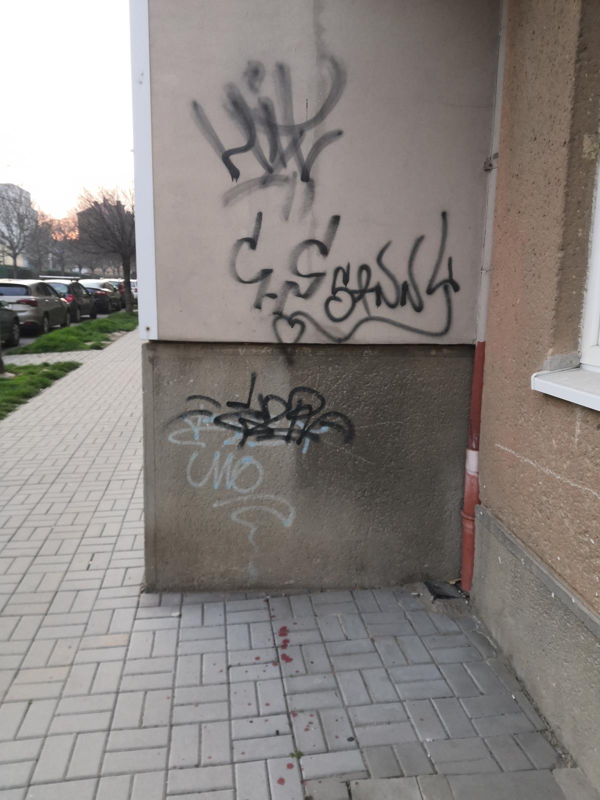 sprejerství