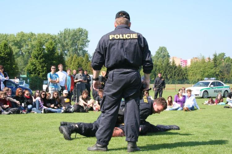stadion 12.jpg