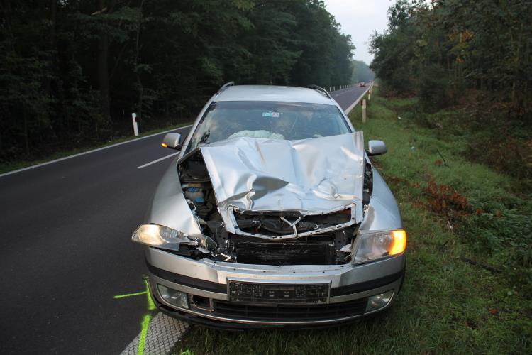 střet se zvěří-pošk.auto.jpg