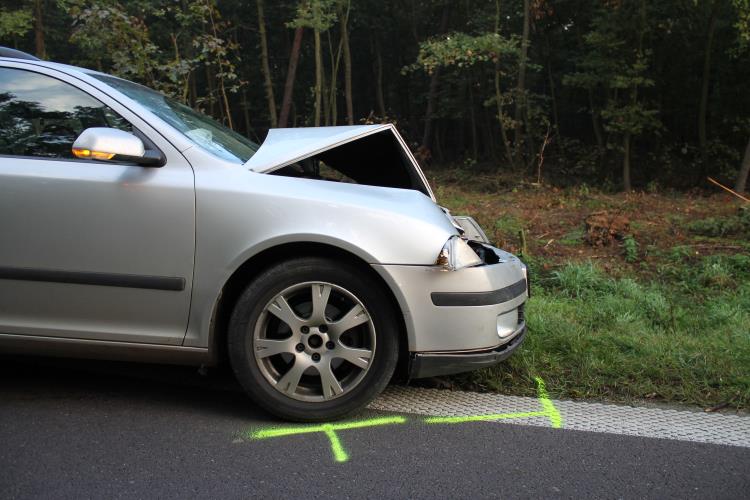 střet se zvěří-poškozené auto.jpg