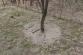 strom 1