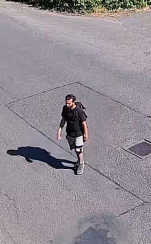svědek.