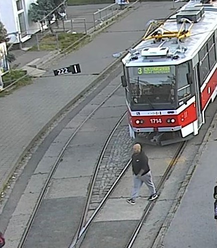 svědek2.jpg